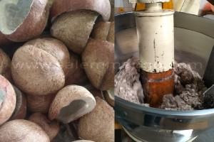 Pure Cold pressed Coconut oil producers in India